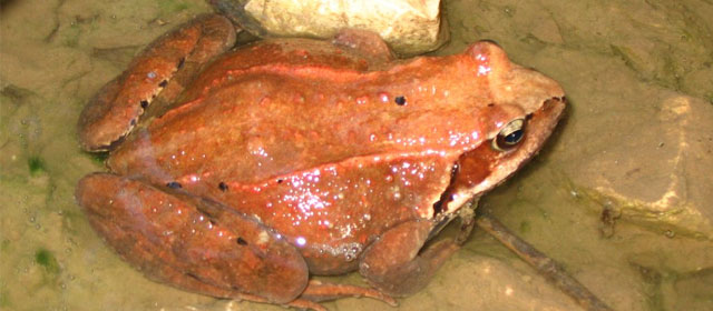 bio_04